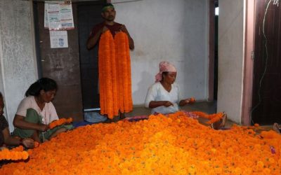 तिहारमा नेपालकै फूलले पायो बजार, कतिमा हुँदै छ कारोबार ?